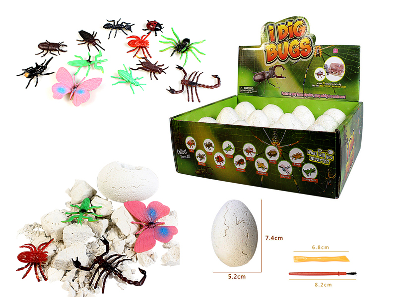 12PCS DIY Archaeological Wild Insect Eggs
