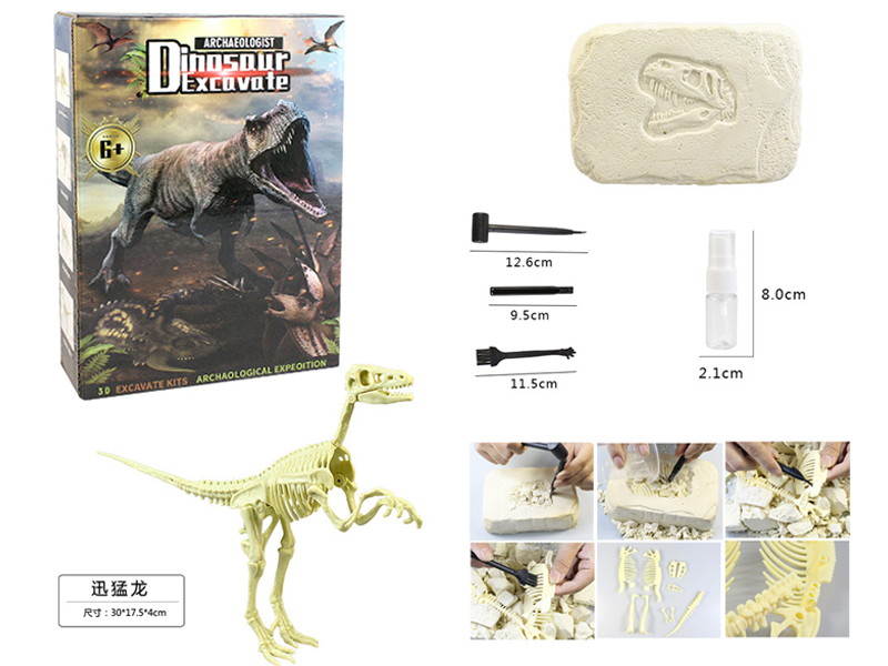 DIY Archaeological Assembling Dinosaur Like Stones-Velociraptor
