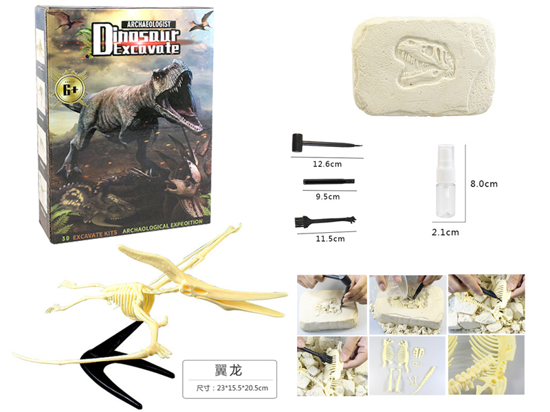 DIY Archaeological Assembling Dinosaur Like Stones-Pterosaur