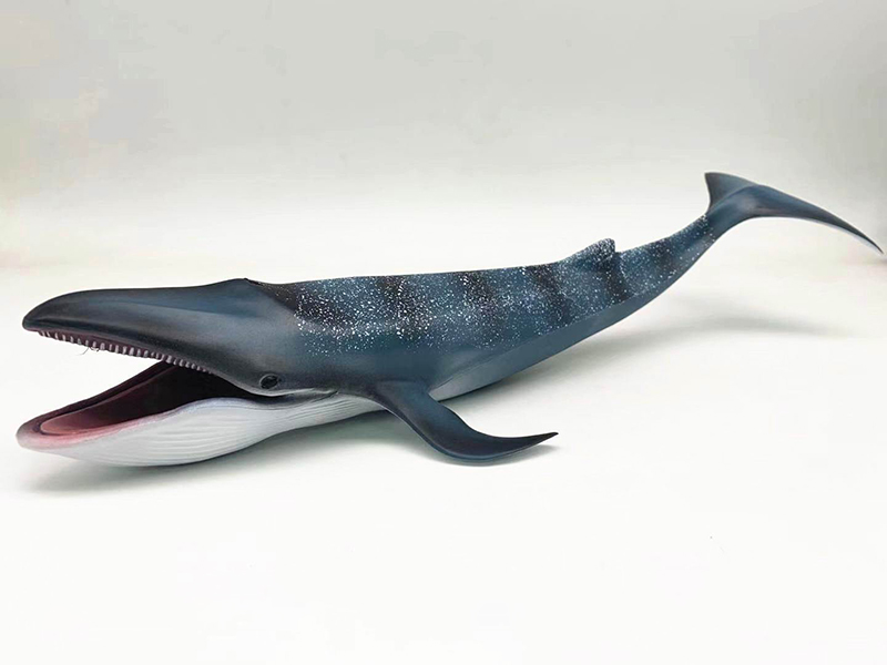 PVC Hollow Blue Whale