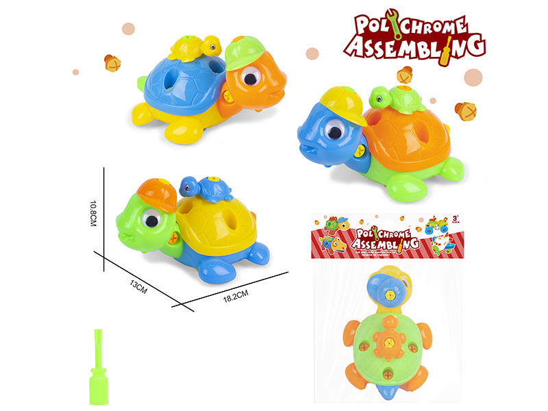 DIY Disassembly And Assembly Cartoon Turtle