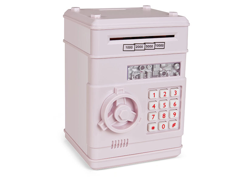 Pink Purple Password Money Box