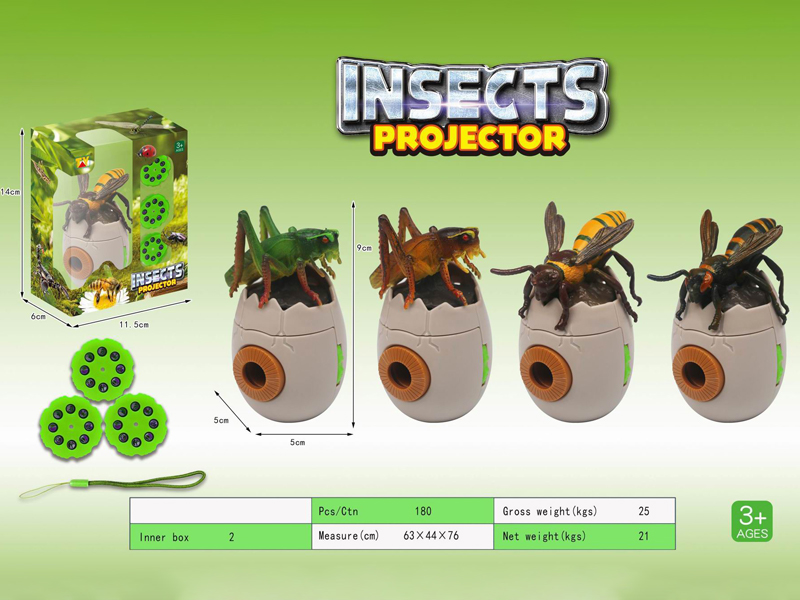 Fun Insect Projection Series