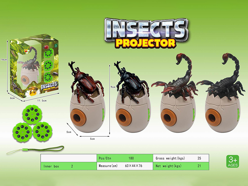 Fun Insect Projection Series