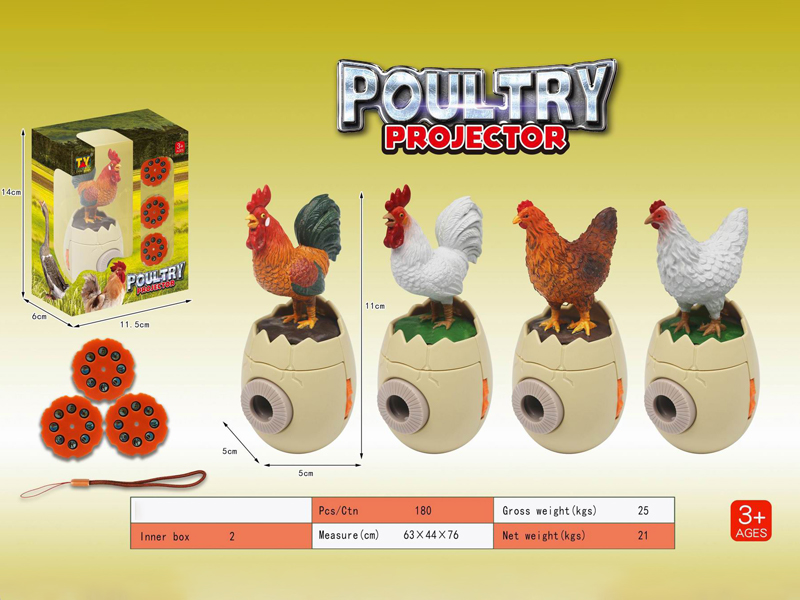 Fun Poultry Projection Series