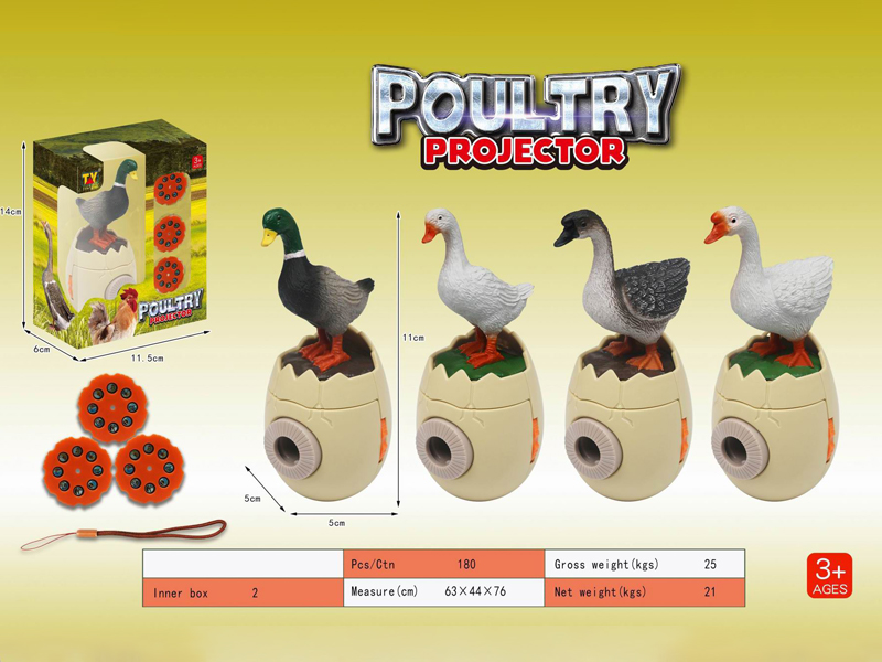 Fun Poultry Projection Series