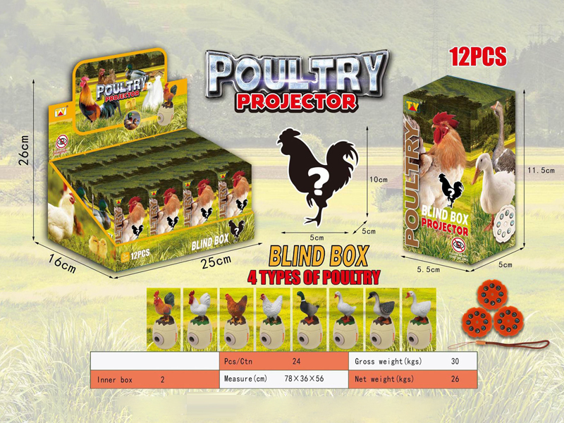 12PCS Poultry Blind Box Series