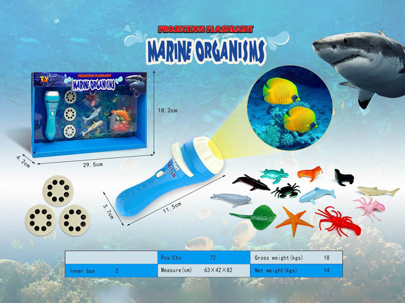 Projection Ocean Flashlight