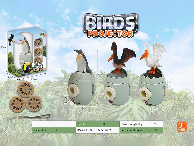 Fun Bird Projection Series