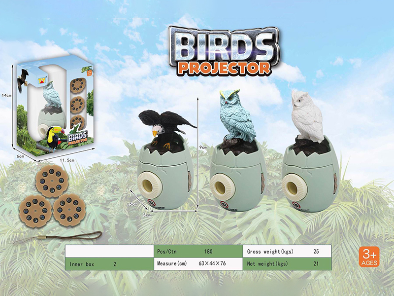 Fun Bird Projection Series