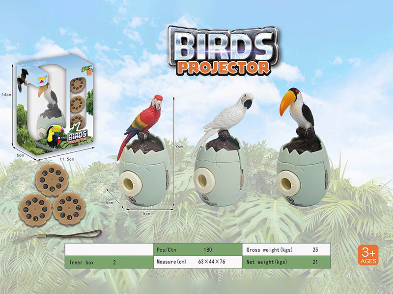 Fun Bird Projection Series