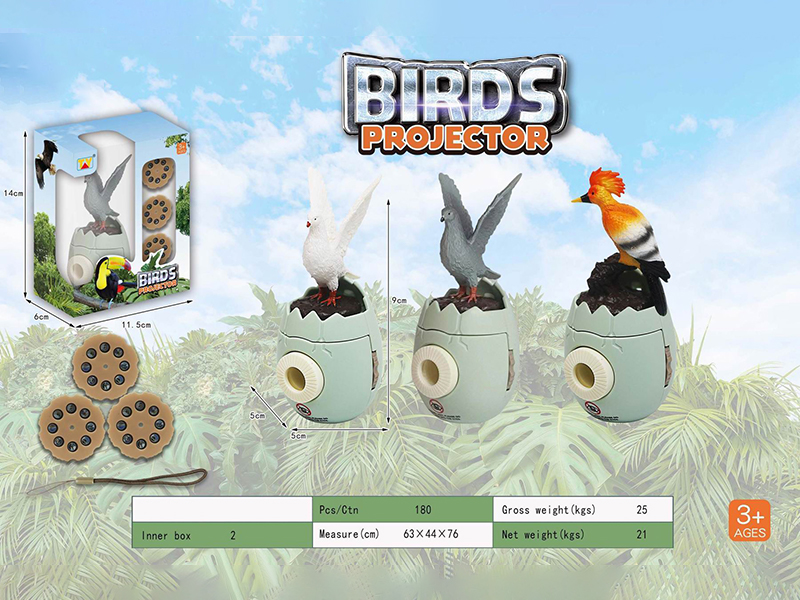 Fun Bird Projection Series