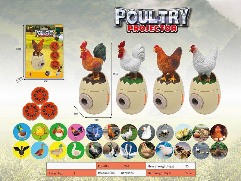 Poultry Projector