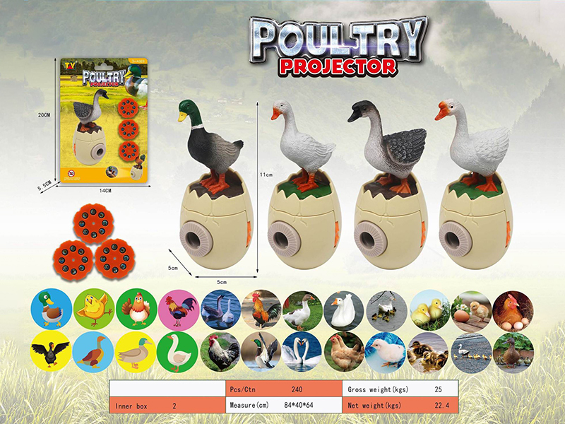 Poultry Projector