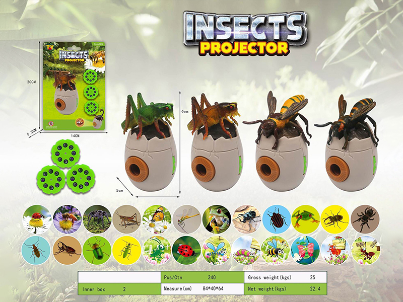 Insect Projector
