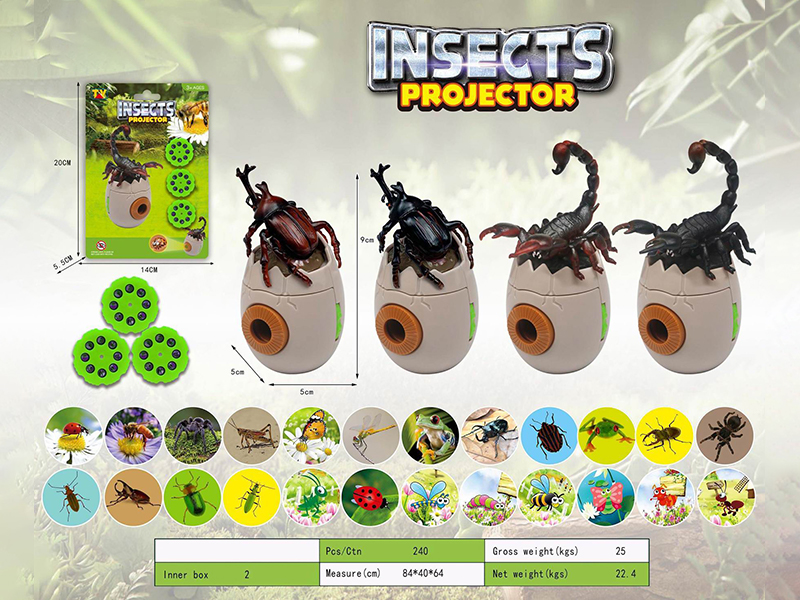 Insect Projector