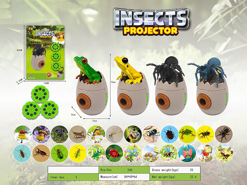 Insect Projector