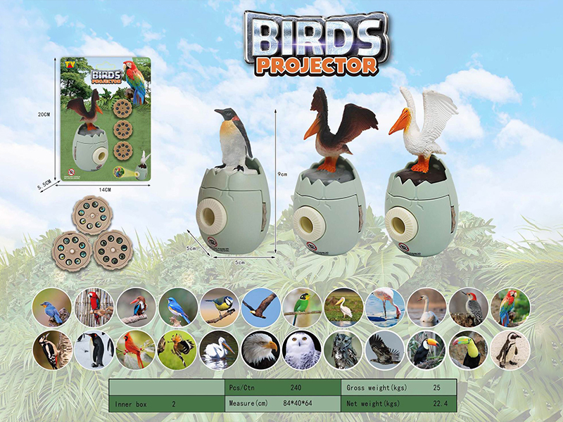Bird Projector