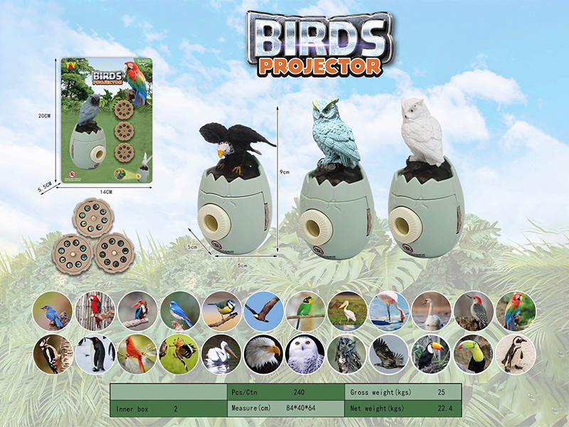 Bird Projector