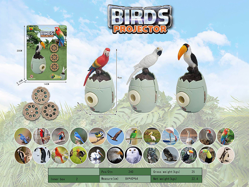 Bird Projector