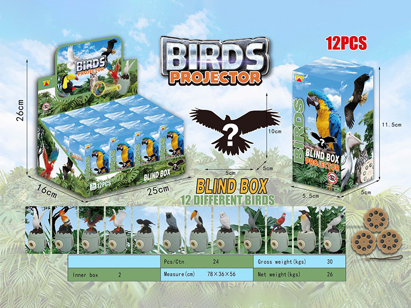 12PCS Bird Blind Box Series