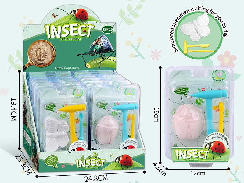 Insect Archaeological Dig Set 12pcs