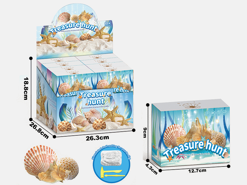 Sea Shell Archaeological Dig Set 24PCS
