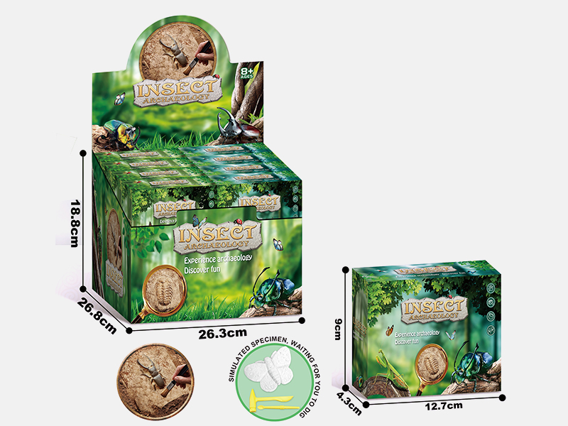 Insect Archaeological Dig Set 24PCS