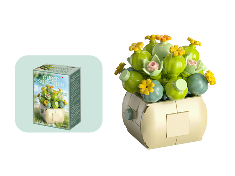 107pcs Conophytum Building Blocks