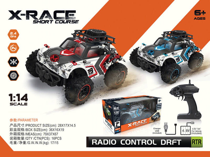 2.4G R/C High Speed Beetle Car