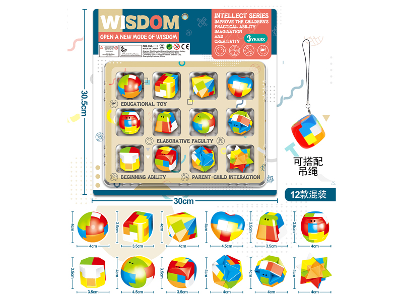 12PCS Luban Lock Toy