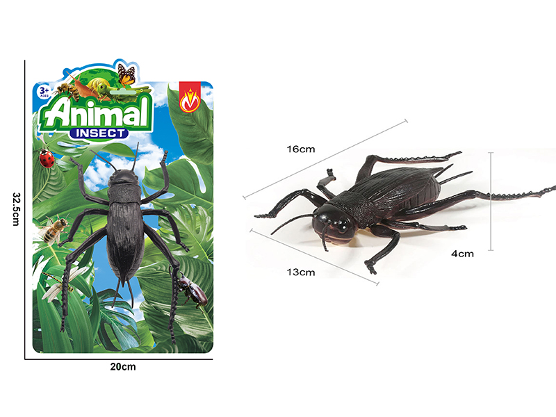 Simulated Insect Cricket