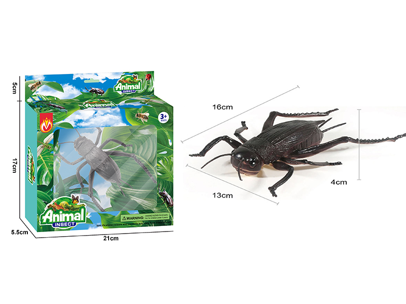 Simulated Insect Cricket