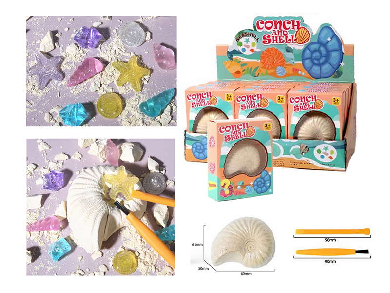 12PCS DIY Archaeological Excavation Of Conch Gemstones