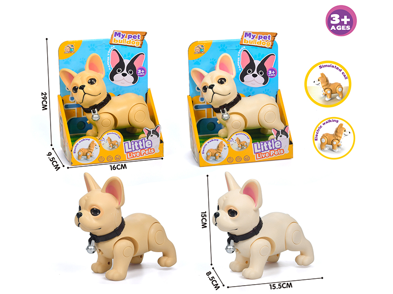 Electric Walking French Fighting Dog