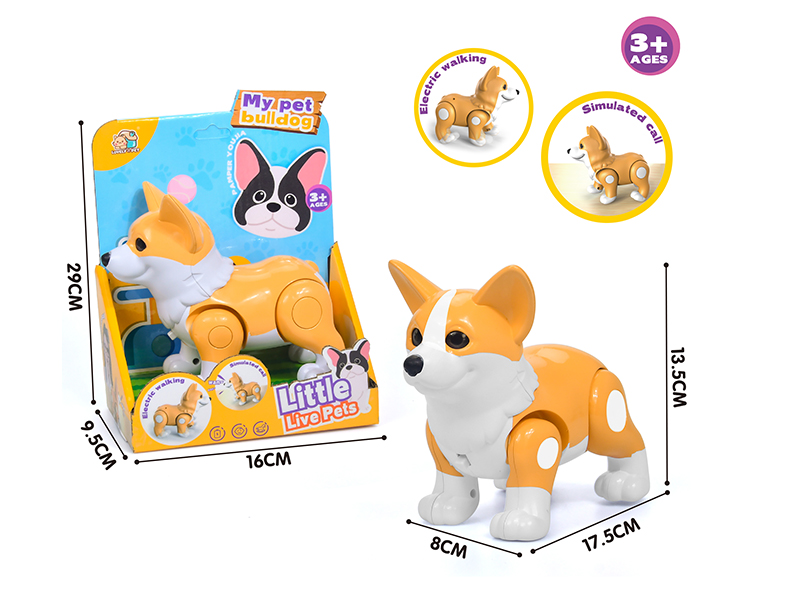 Electric Walking Corgis