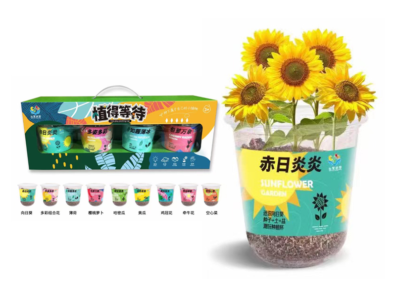 4PCS Planting Cup