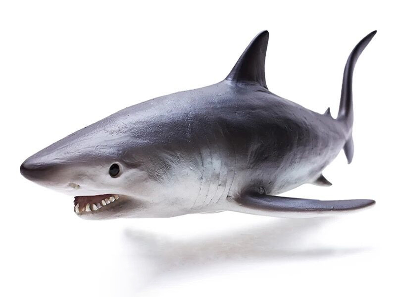Vinyl Sea Animal Model - Mako Shark
