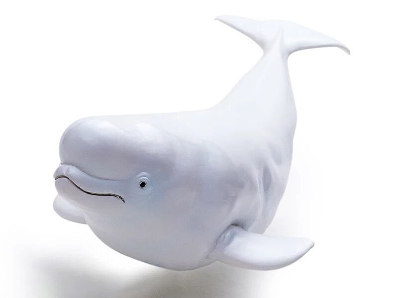Vinyl Sea Animal Model - White Whale
