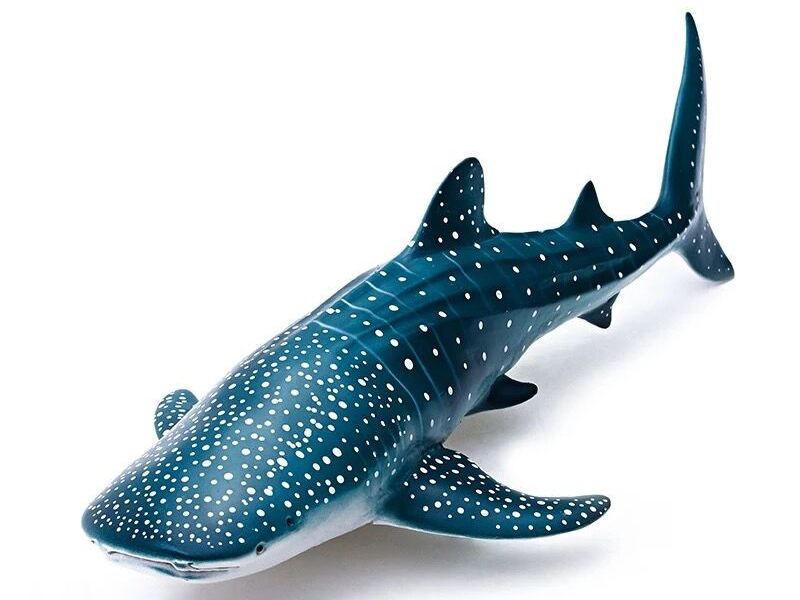 Vinyl Sea Animal Model - Whale Shark