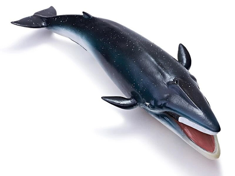 Vinyl Sea Animal Model - Fin Whale
