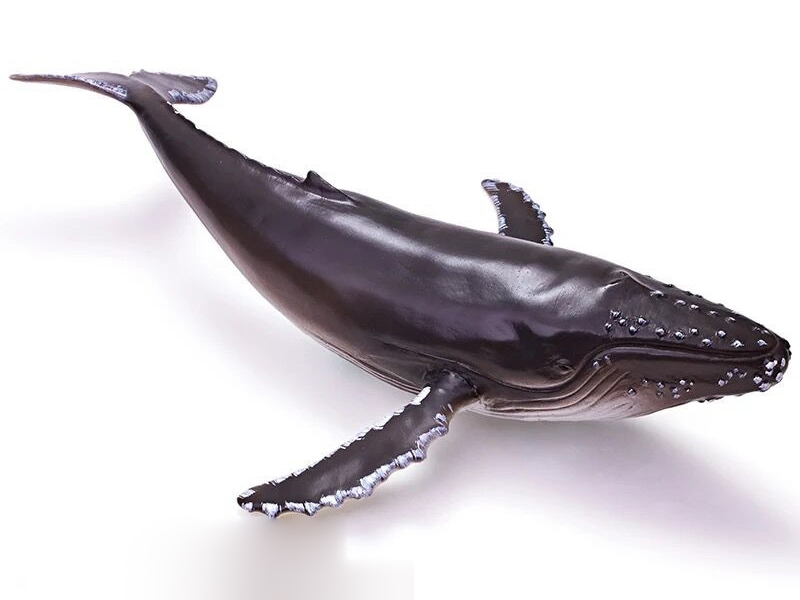 Vinyl Sea Animal Model - Humpback Whale