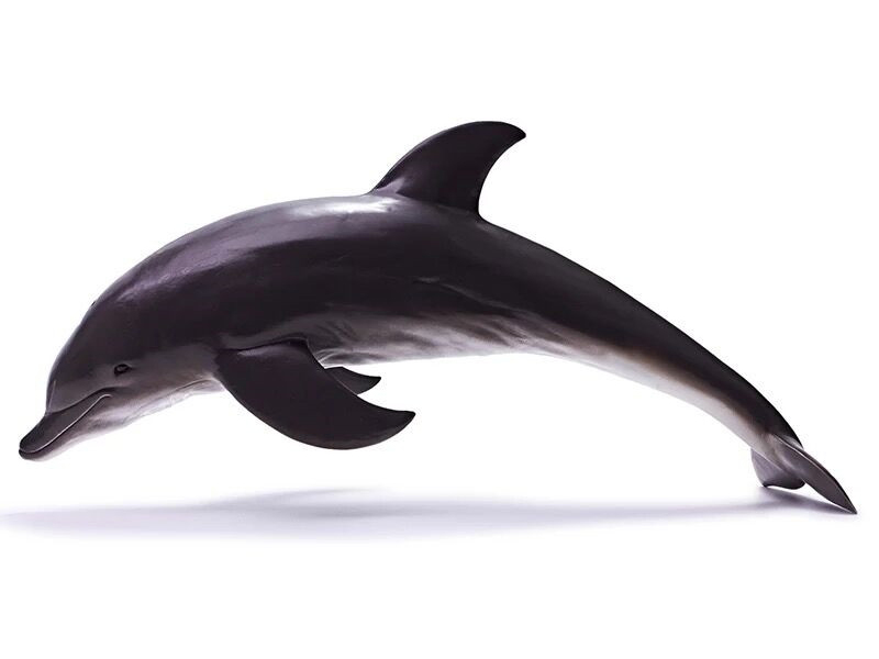 Vinyl Sea Animal Model - Dolphin