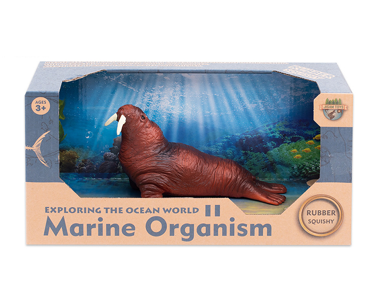 Sea Animal Model - Sea Lion