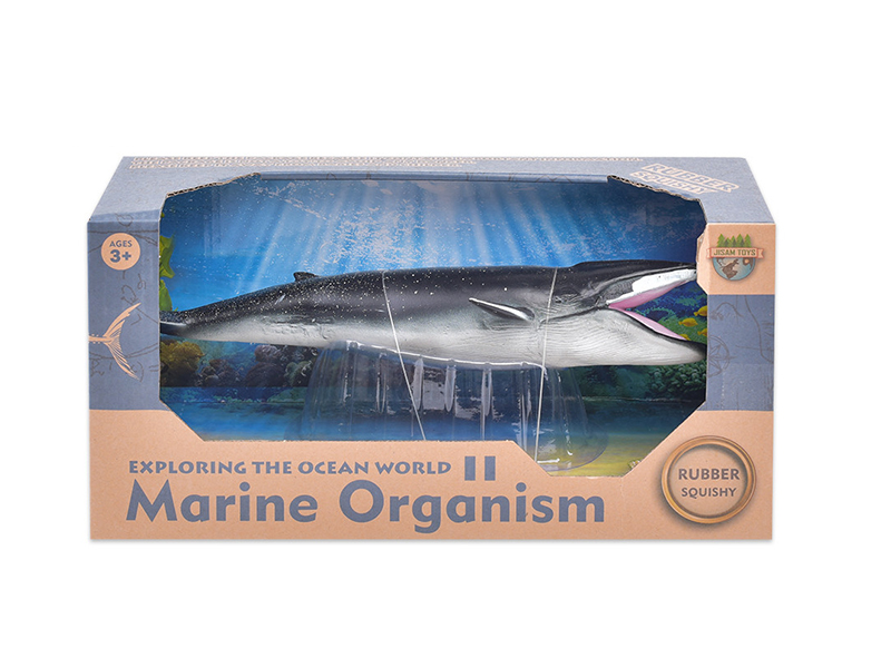 Sea Animal Model - Fin Whale