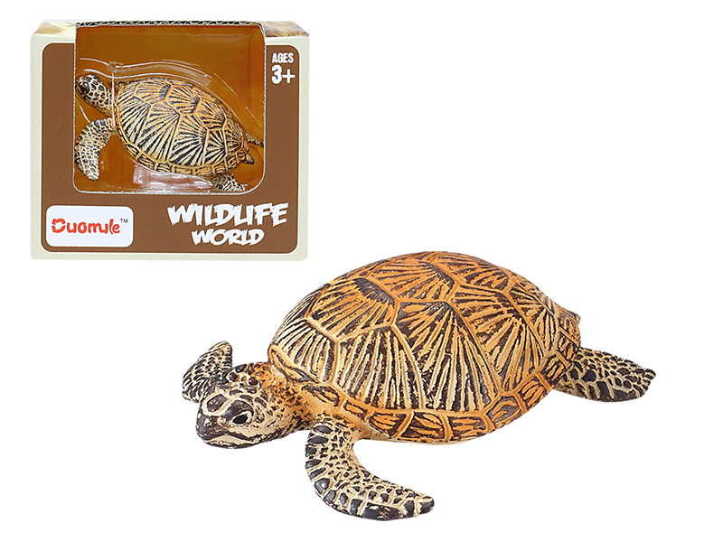 Sea Turtle Static Model