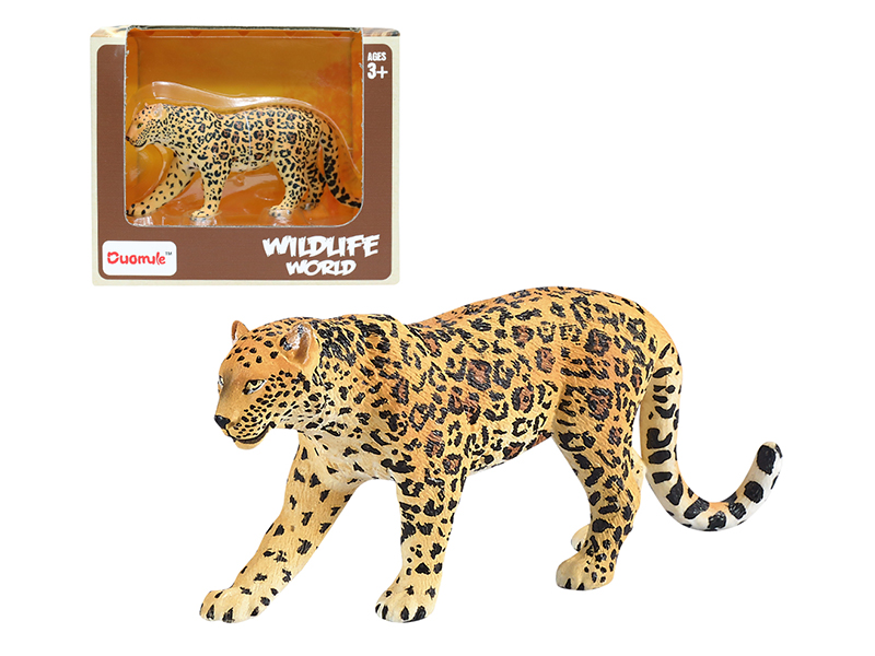 Leopard Static Model