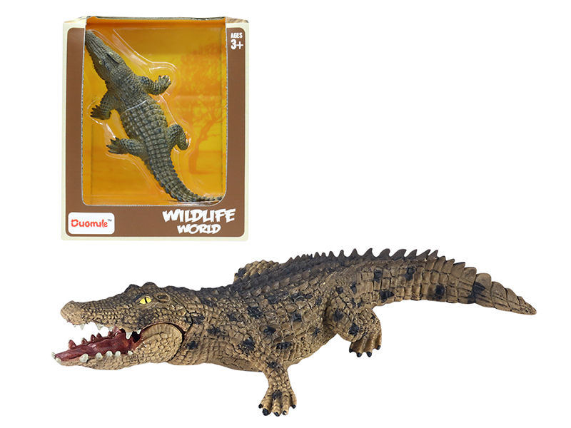 Crocodile Static Model