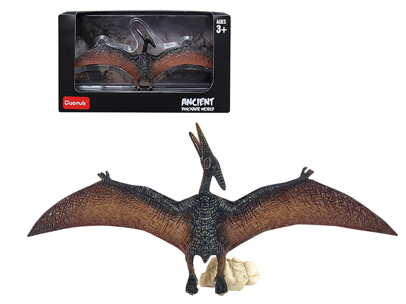 Pteranodon Static Model