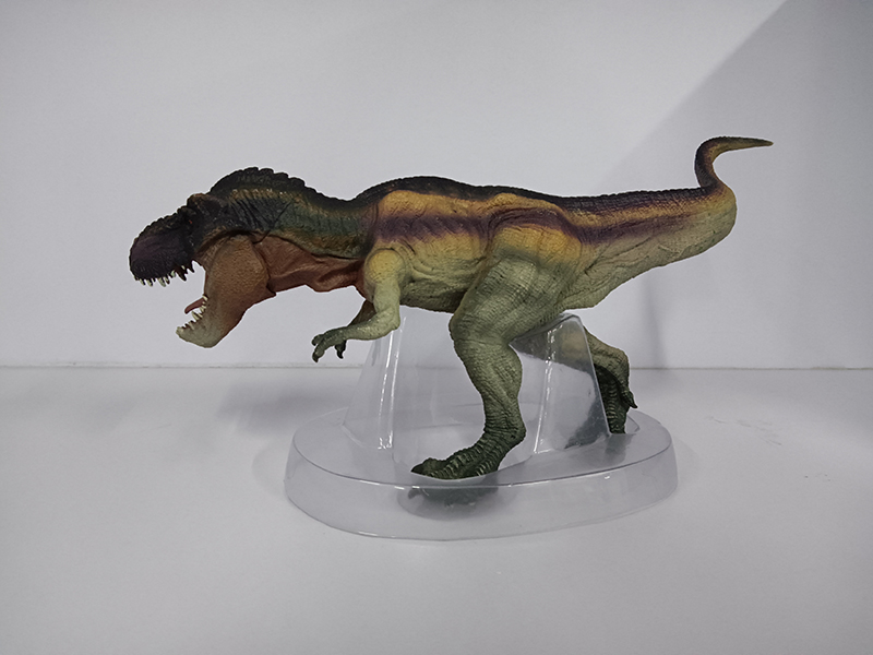 Tyrannosaurus Rex Static Model